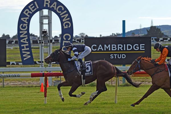 Tsunami Sam heading for Australia