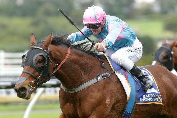 Falconer hoping to upset the apple cart