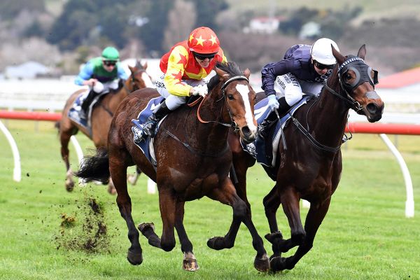 Schofer brings up century at Wanganui
