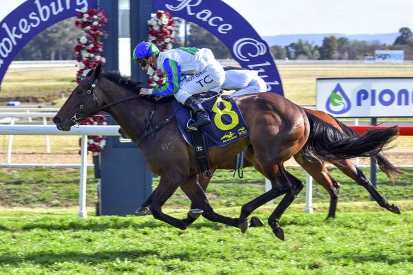 Perfect start for Tivaci filly