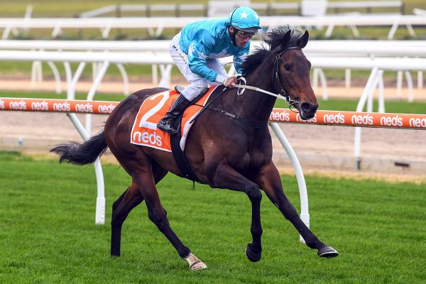 Annavisto set to don Tatt’s Tiara