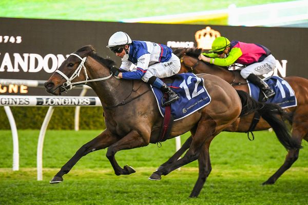 Kiwi mare not to be sneezed at