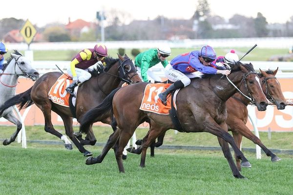 Ayrton returns in style