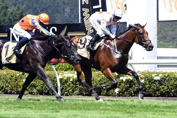 Sheraco likely for Bonham