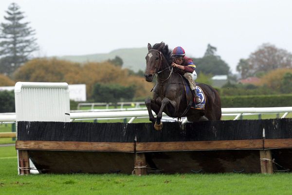 Chief Sequoyah a budding jumps superstar: Wheeler