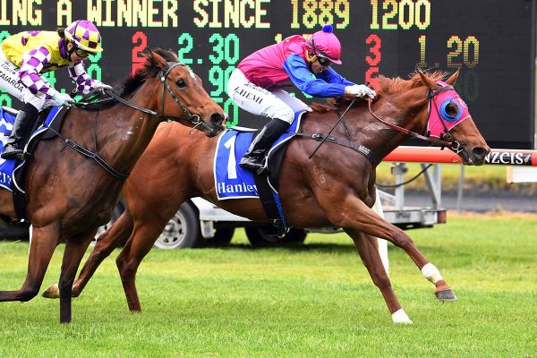 Bambry holds strong hand at home meeting