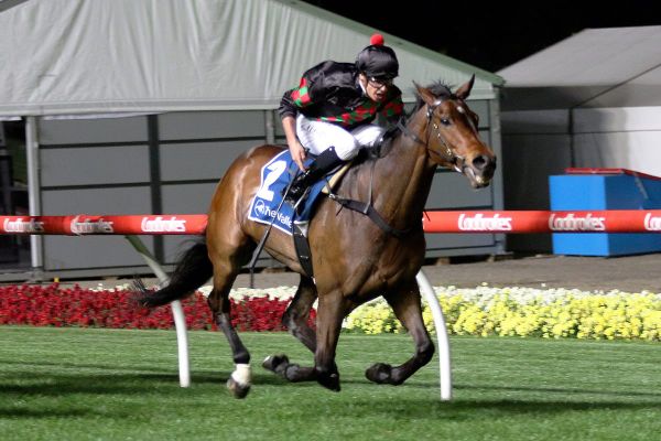 Defibrillate a boost for locked down Kiwi owners