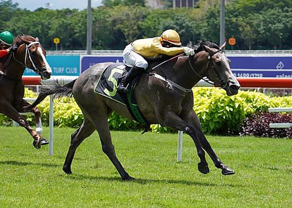 Dinar, Hamama keep Walker-Al Rashid momentum up