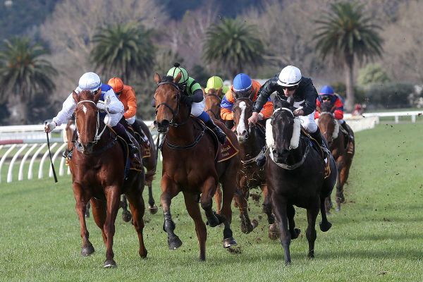 El Noir sheds bridesmaid tag with gritty Te Aroha victory