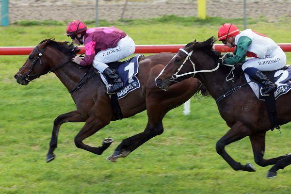 Follow Your Dreams ready for stakes challenge