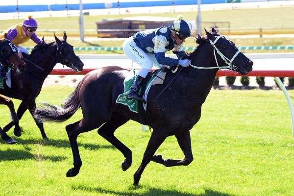 Footlights impressive on debut