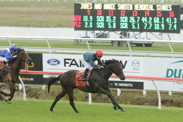 Harlech back at Matamata stable