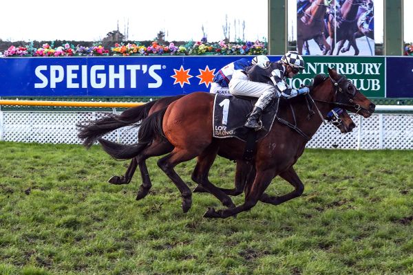 Justaskme gains Riccarton revenge