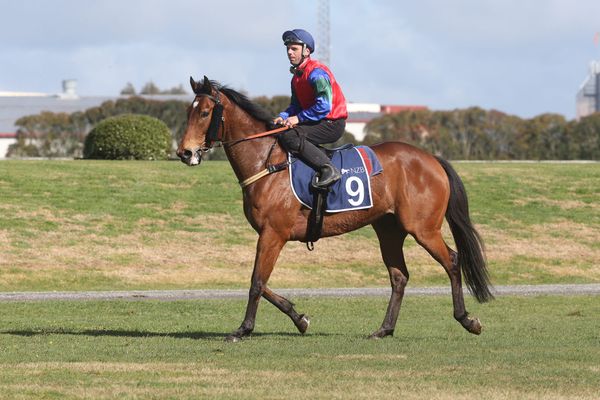 Big spring tipped for Team Rogerson