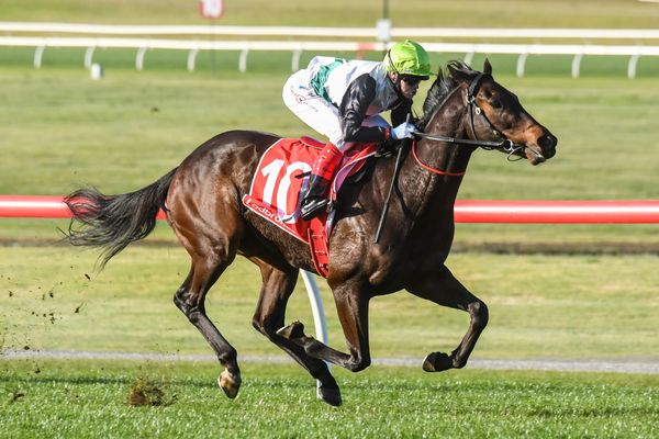 Mr Brightside tipped for Toorak