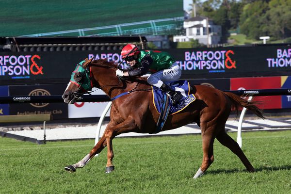 Billy ready for new campaign