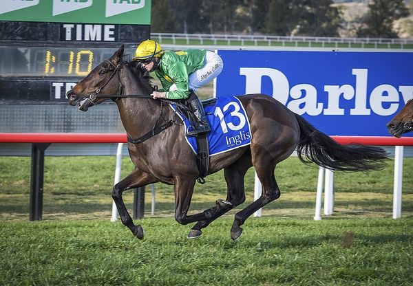 Mascherata adds to Tivaci tally