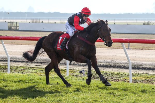 Crozier upbeat about Ringbolt ahead of Grand National