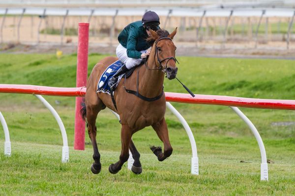 Adelaide stakes win looks routine for Second Slip