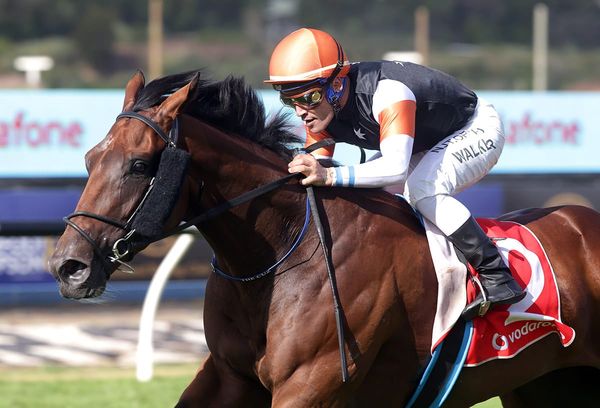 Melbourne Cup hopeful Sherwood Forest set to resume at Cambridge