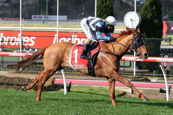 Romans smokes his rivals at The Valley