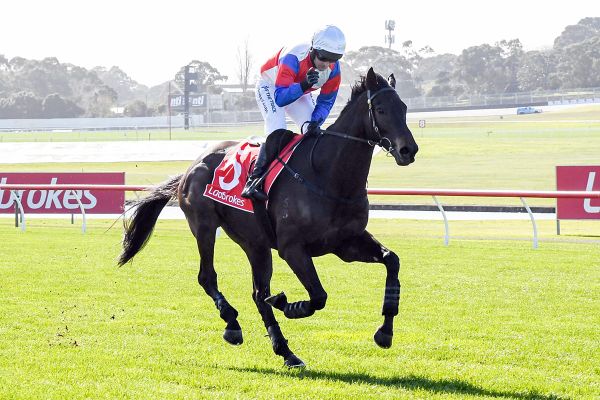 Social Element's dominant Crisp win