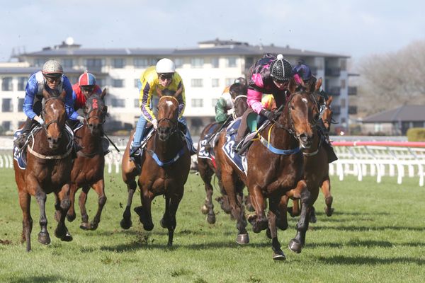 Supreme Heights sought for talented mare