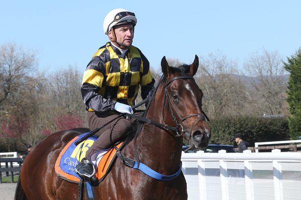 Sword in healthy state