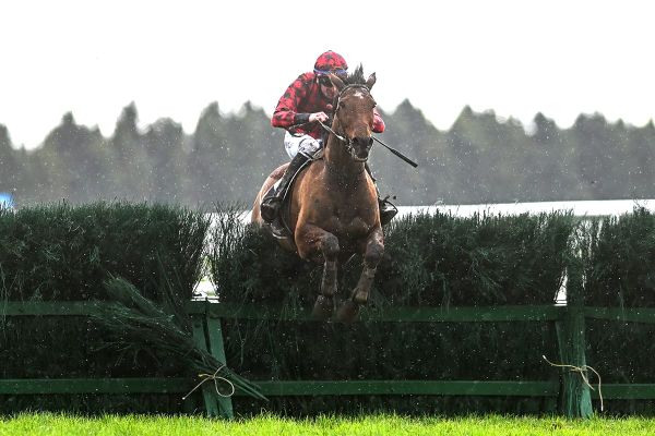 Champion jumper salutes in Grand National Steeplechase