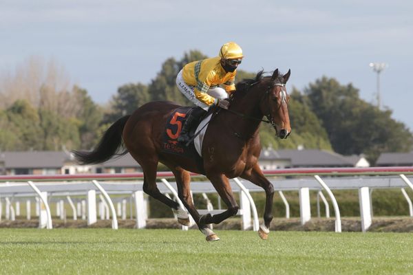 Sharrock hopes Saturday gets green light