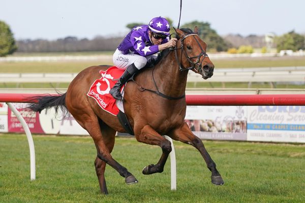 The Duke has plenty to offer