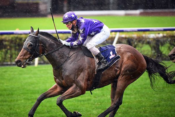 Cups tilt possible for The Good Fight