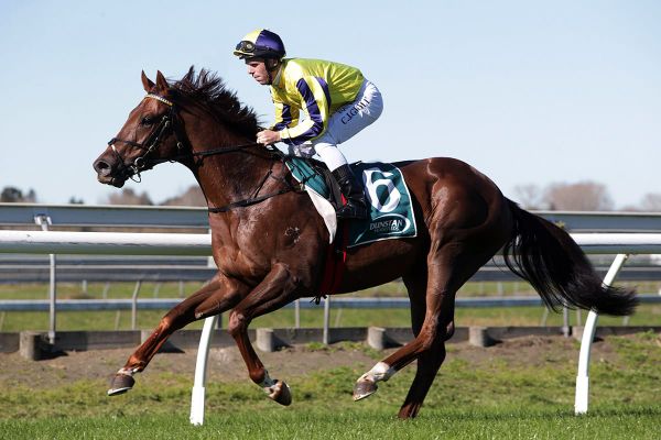 Wanganui Guineas in the crosshairs for Treasure State
