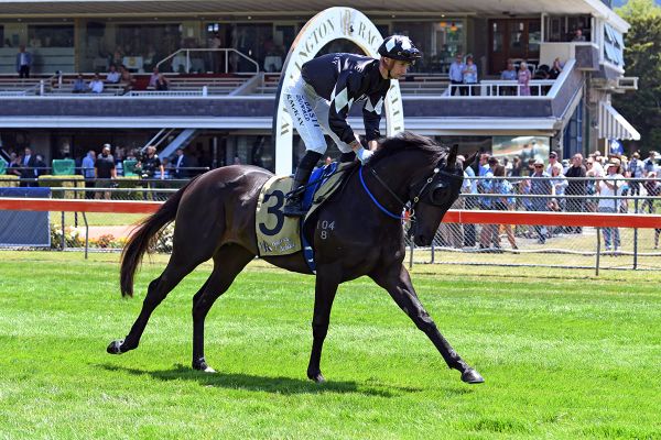 Classic ambitions for Wolfgang