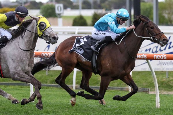 Picnic at Caulfield for Annavisto