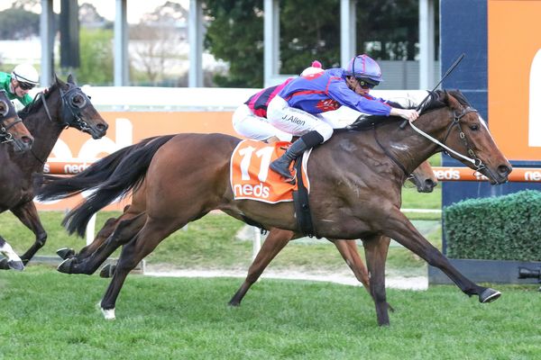 Boss excited about Ayrton ride