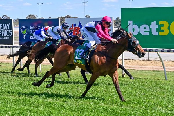 Khan’s Treasure salutes at Swan Hill