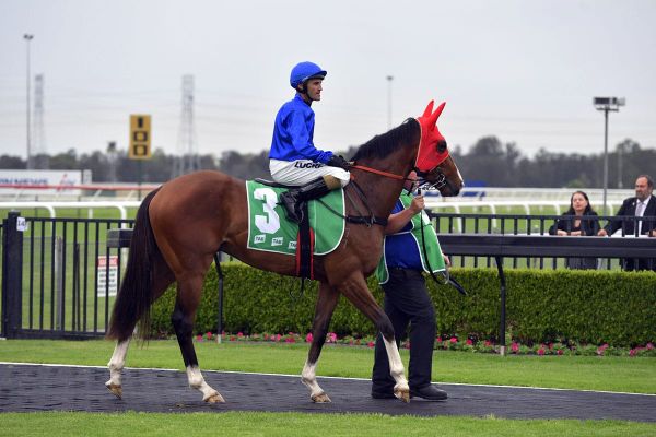 Staying future for son of Contributer