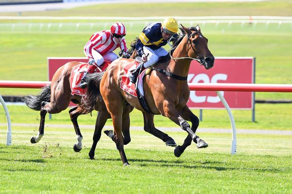 Debut victory for Draft Day