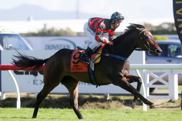 Punters take leap of faith