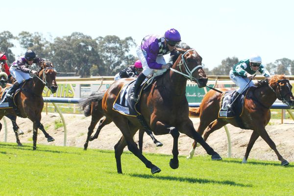 Villaden strong winner on debut