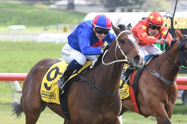 El Vencedor continues family legacy