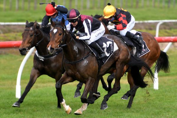 Empress El leads the way for Greene’s three-year-old contenders