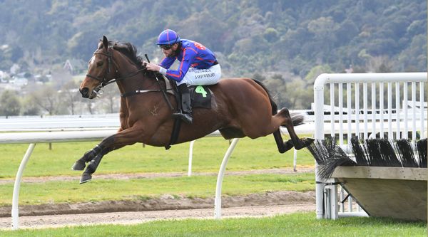 Bright future tipped for English Gambler