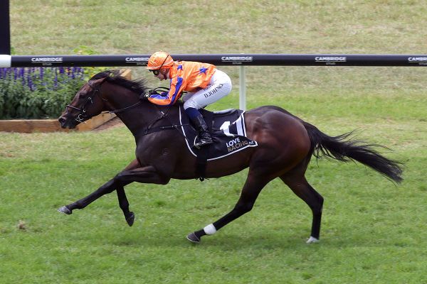 Entriviere out to secure lucrative Invitation