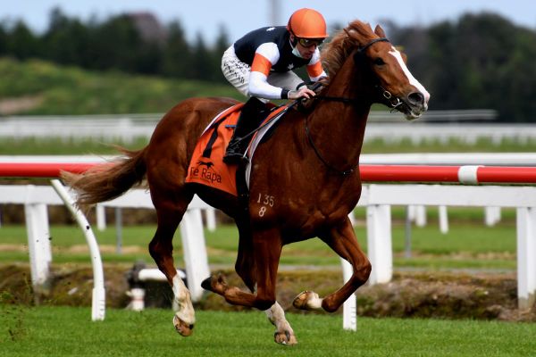 Pike pleased with Te Rapa team