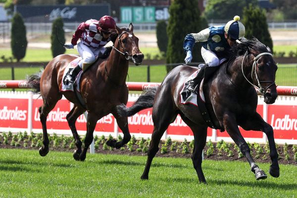 Forgot You something to remember after Valley win