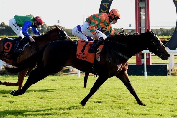 Frontman a leading light at Hawke’s Bay