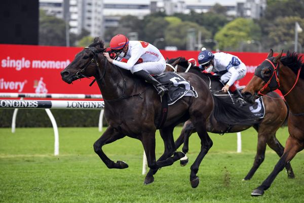 Rawiller tips bright future for Supremacy