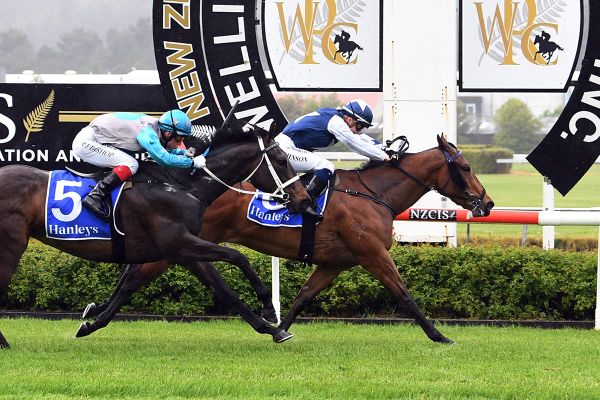 Benner-Wynyard weekend debutants attract interest